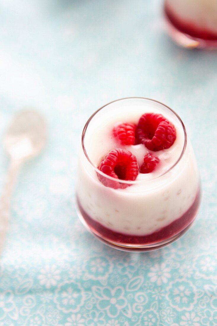 Raspberry Tapioca Pudding in a Glass