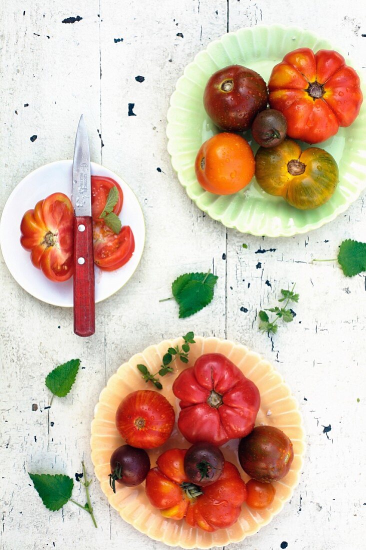 Verschiedene Tomatensorten auf drei Tellern