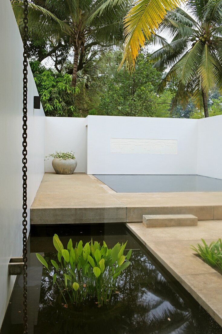 Geometric pool area with water plants in pond in foreground; steps leading to minimalist pool surrounded by white walls