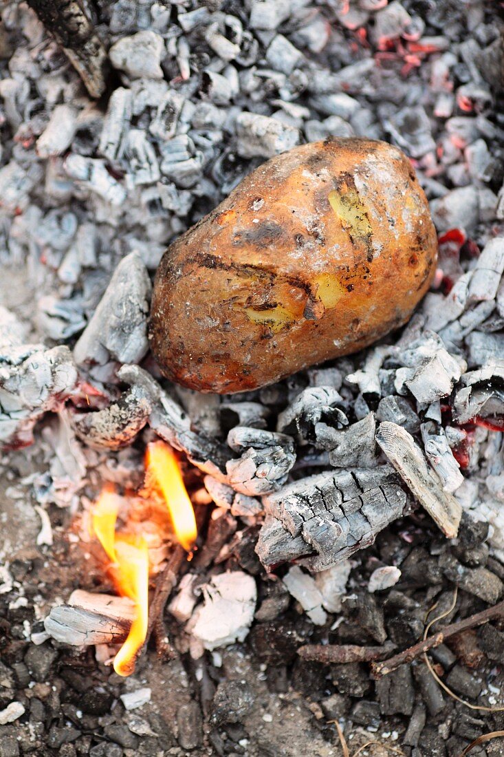 Kartoffeln am offenen Feuer backen