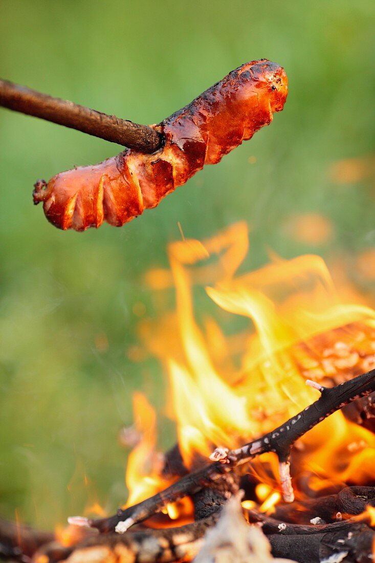 A sausage being cooked over an open fire