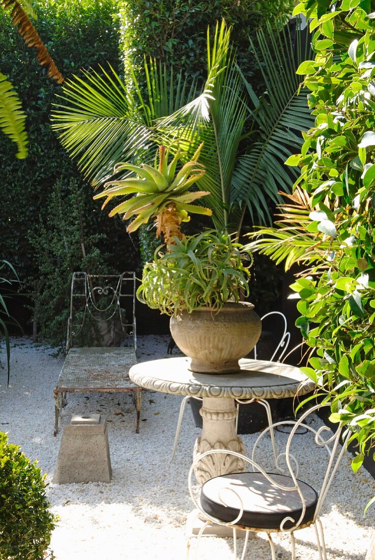 Foliage plants and collection of antique garden furniture in gravel courtyard