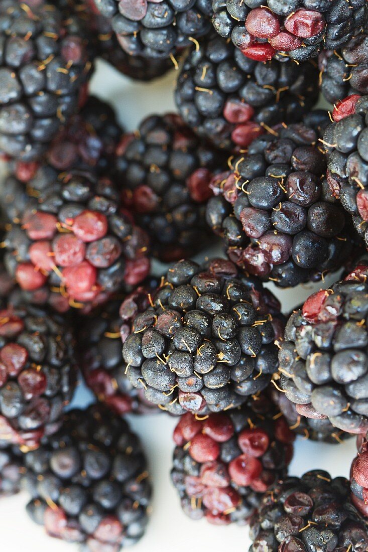 Brombeeren (Nahaufnahme)