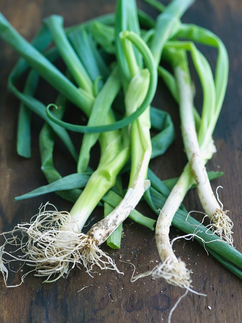 Organic Green Onions on a Wooden Surface