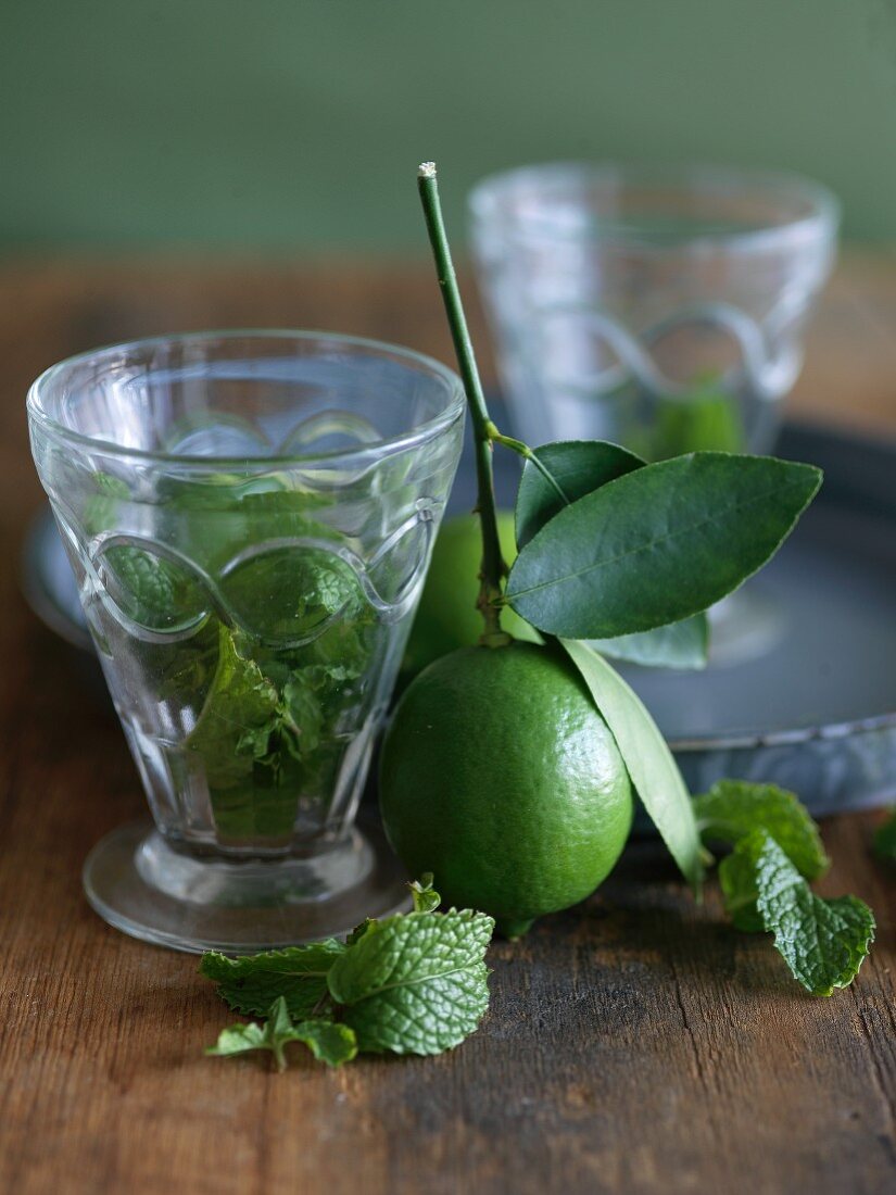 Lime with Branch and Mint for Mojitos