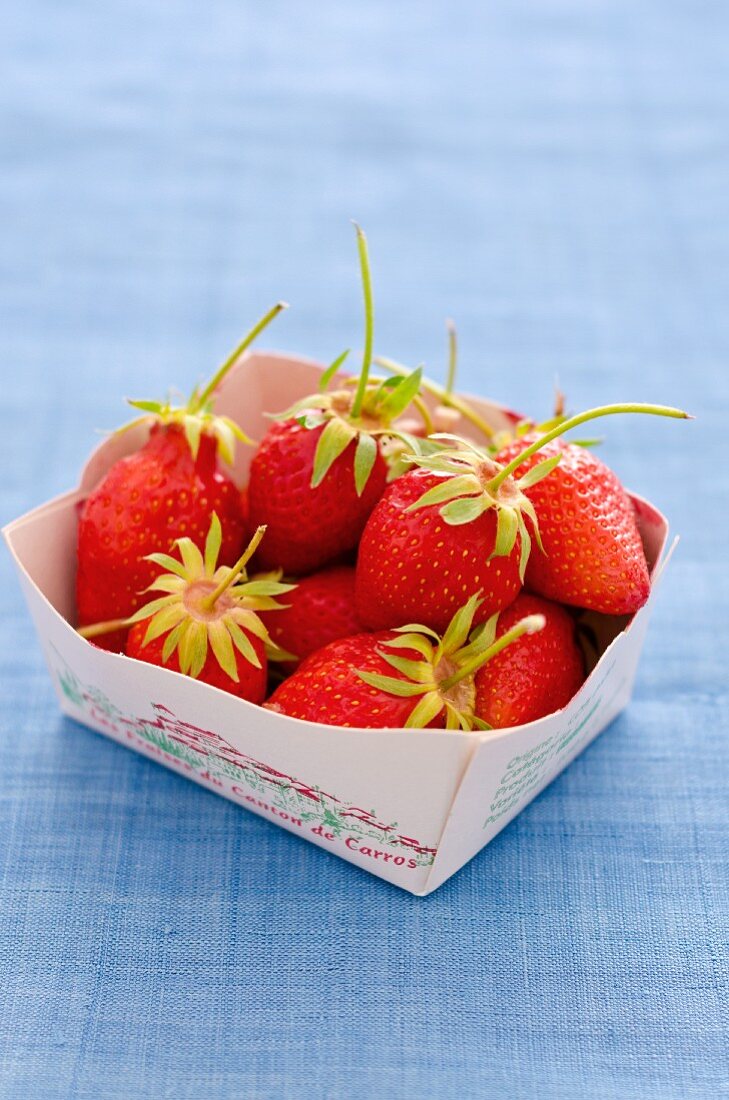 Quart of Fresh Maine Strawberries