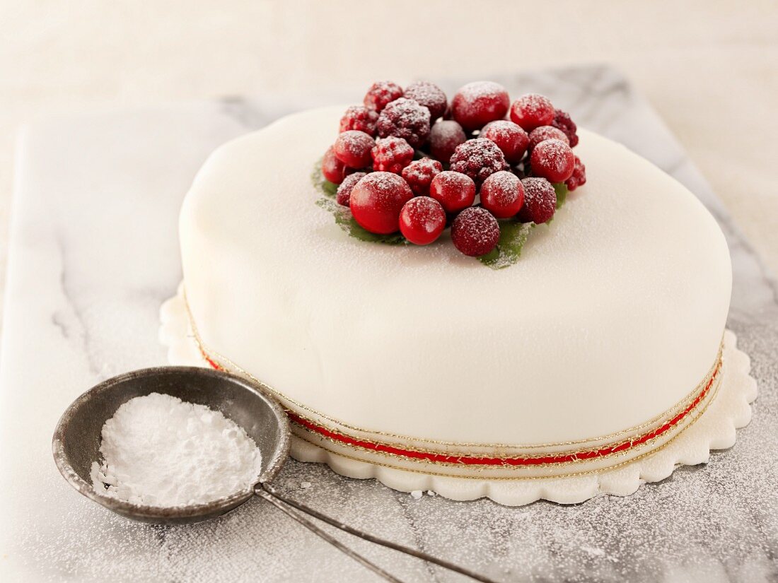 Christmas cake with cranberries and icing sugar