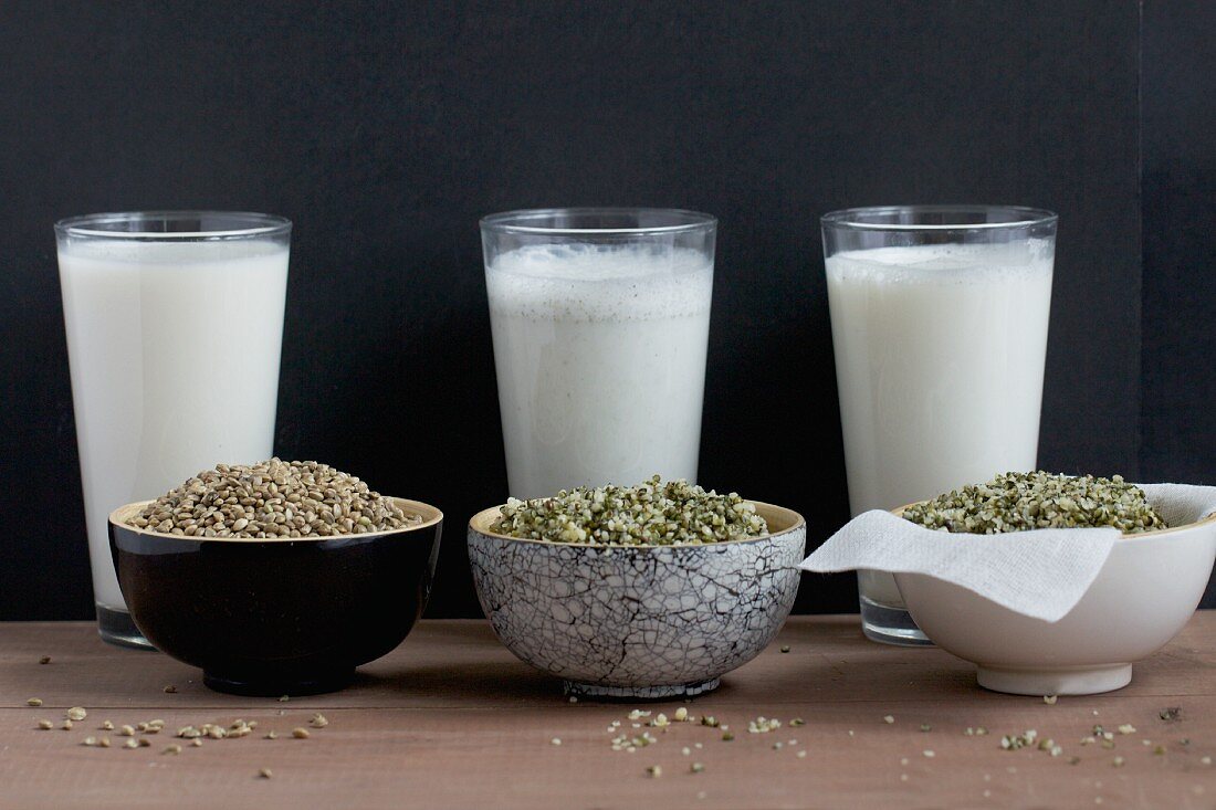Home-made hemp milk with whole seeds and shelled seeds; milk is still being filtered
