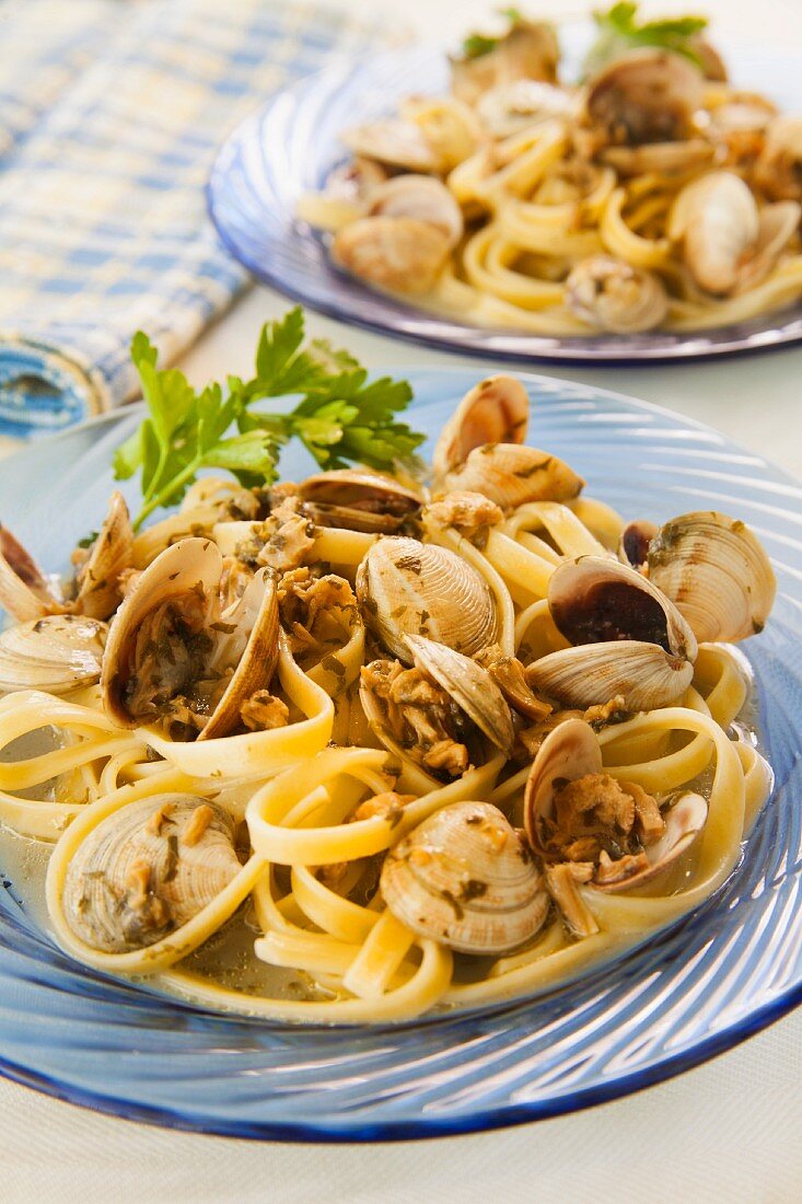 Fettuccine with Baby Clams in a White Sauce