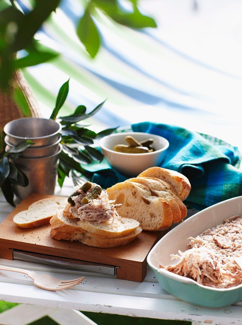 Pork and fennel rillettes with baby pickled gherkins and chunks of baguette