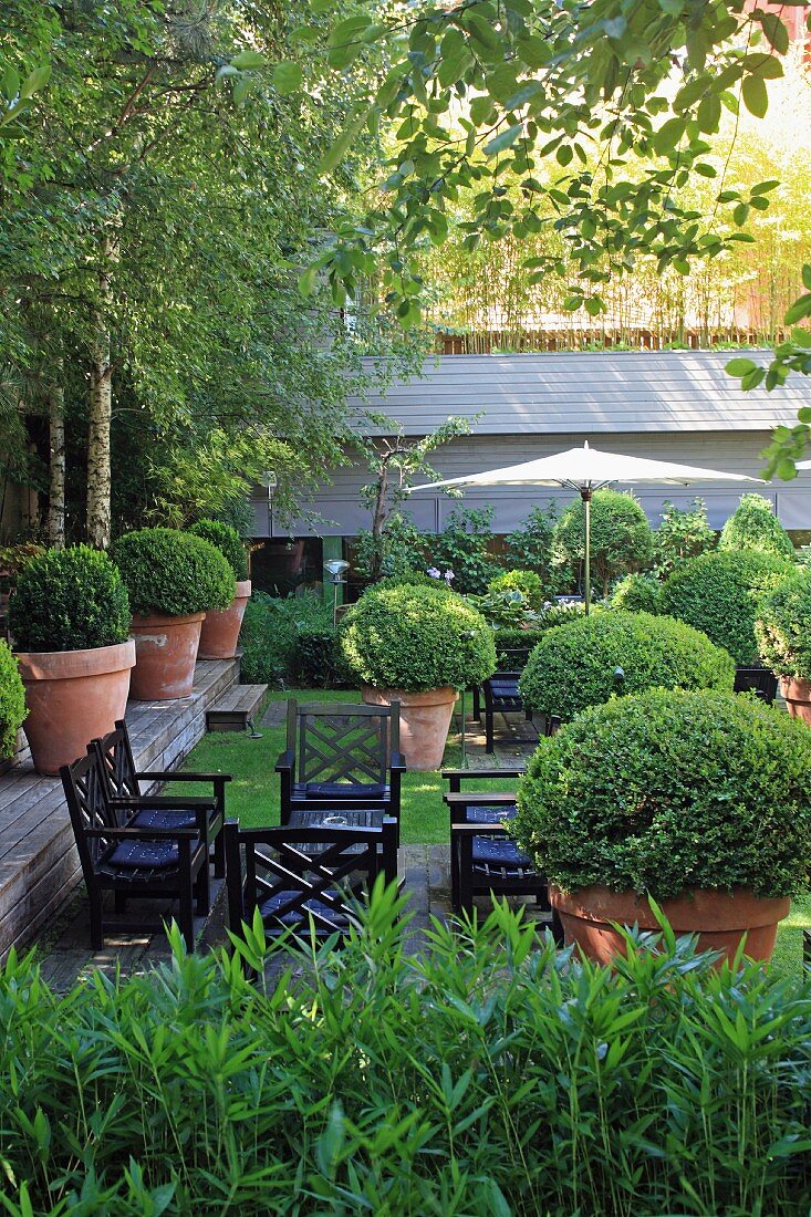 Mediterranean garden with boxwood planters and black outdoor patio chairs