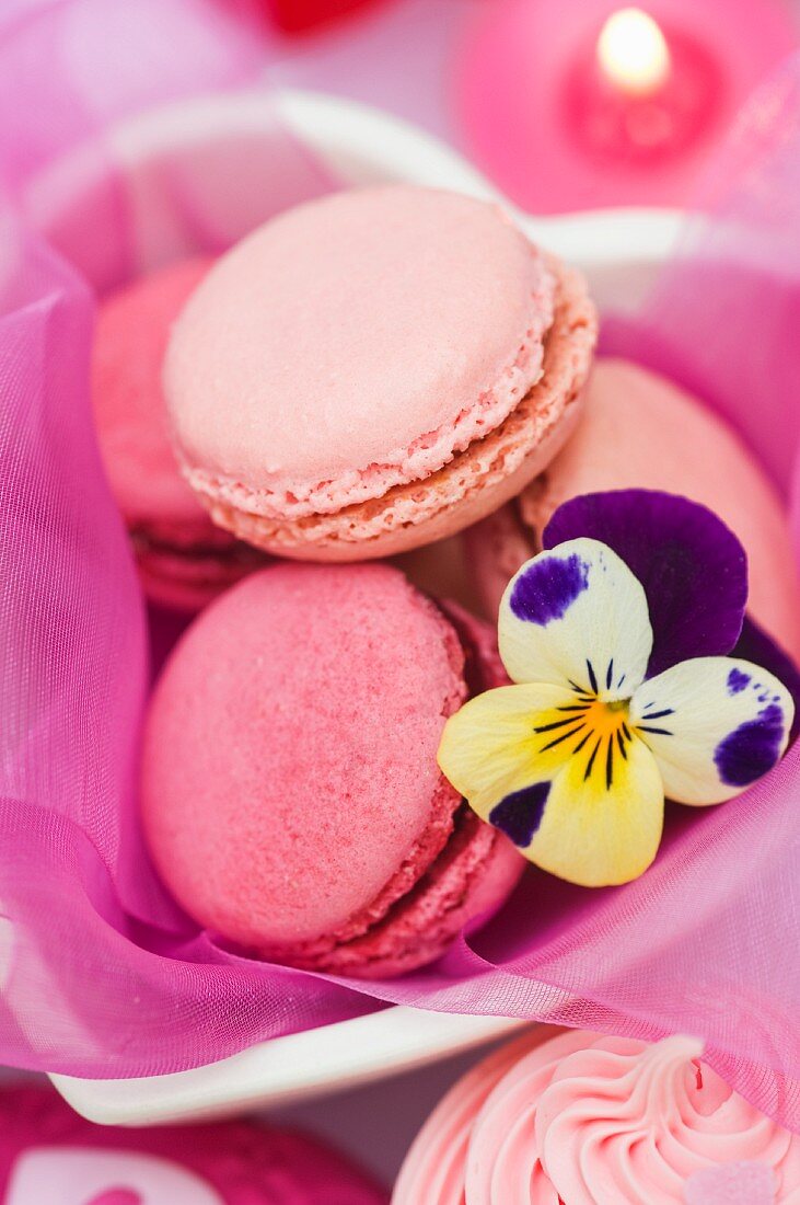 Strawberry and raspberry macaroons in a heart-shaped dish with a pansy