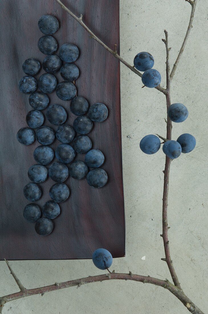 Sloes in a wooden dish and on a branch