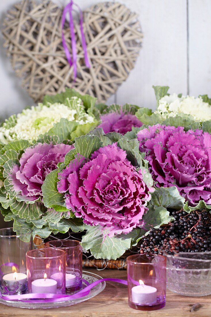 Autumnal arrangement of ornamental cabbages, elderberries and tealight holders