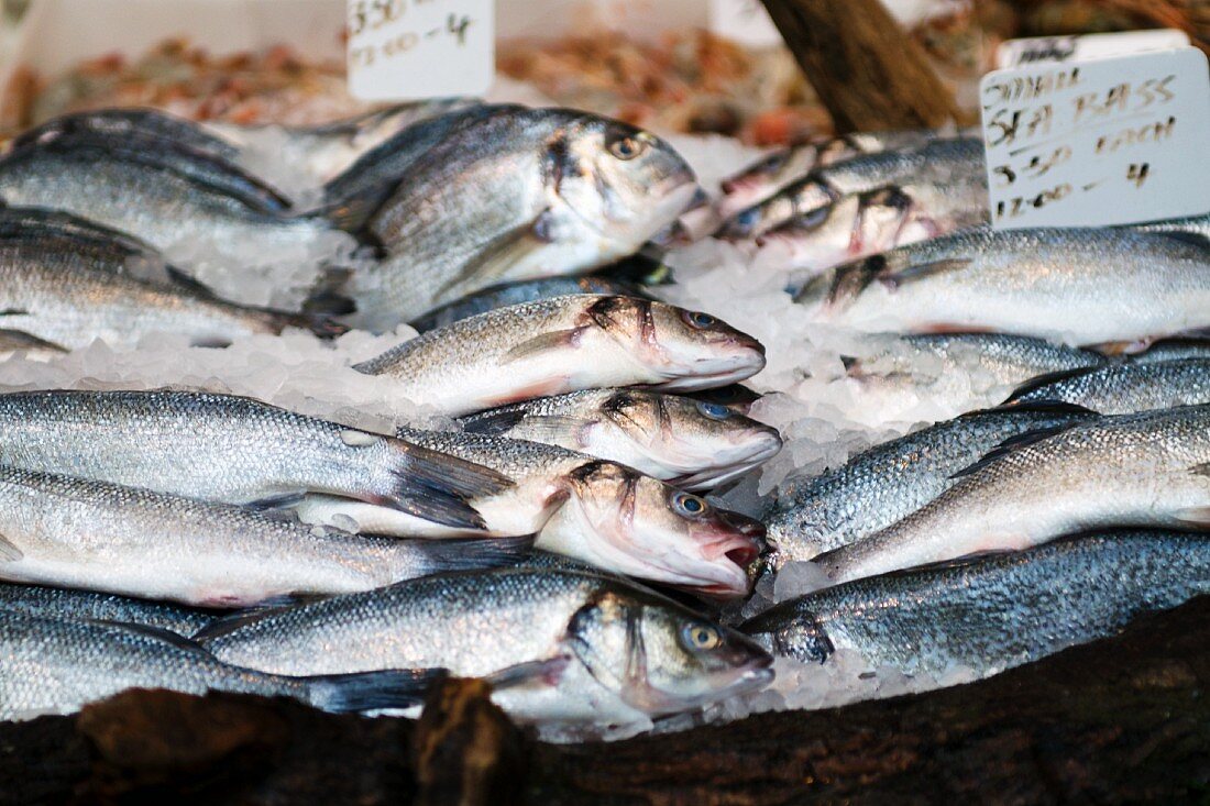 Frische Fische auf dem Markt