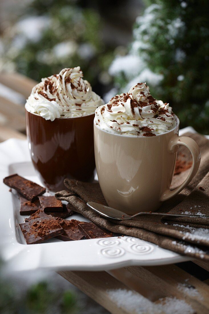 Hot chocolate with cream in a snowy garden
