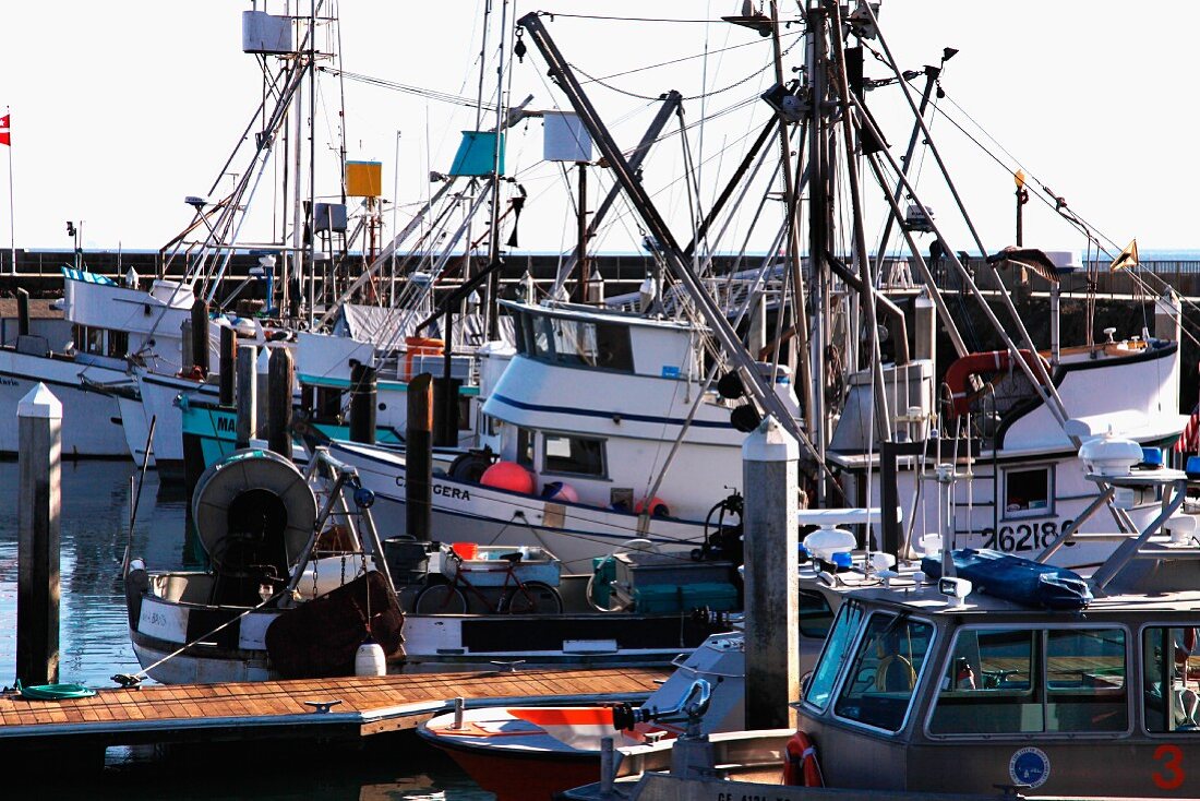 A fishing harbour in Santa Barbara, California