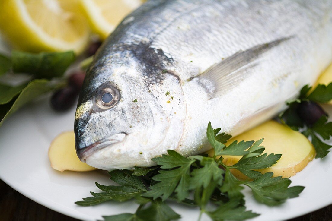 Gilt-head bream on a plate with parsley, sliced potatoes, olives and lemon