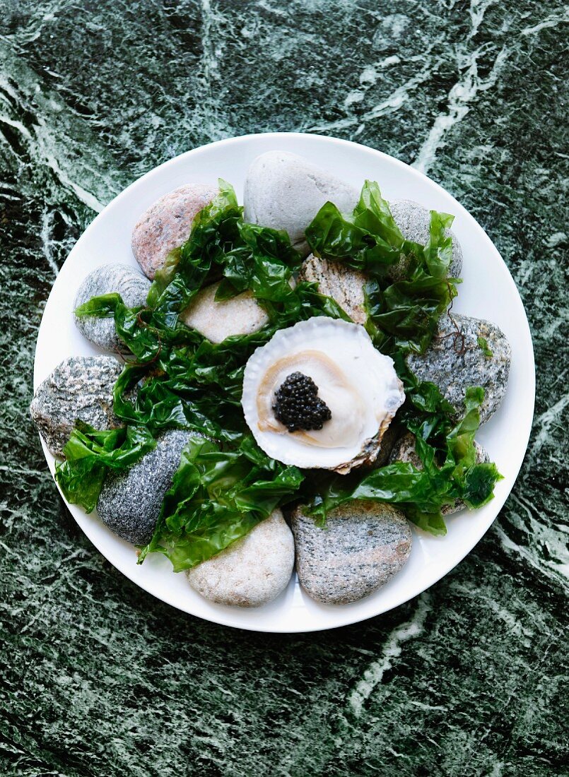 Auster mit Kaviar und Algen