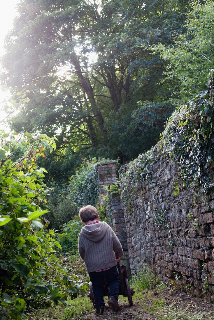 Boy pushing wheelbarrow next to garden wall