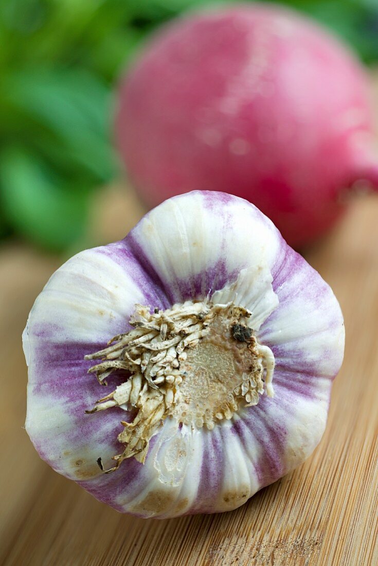 A bulb of garlic and a red radish