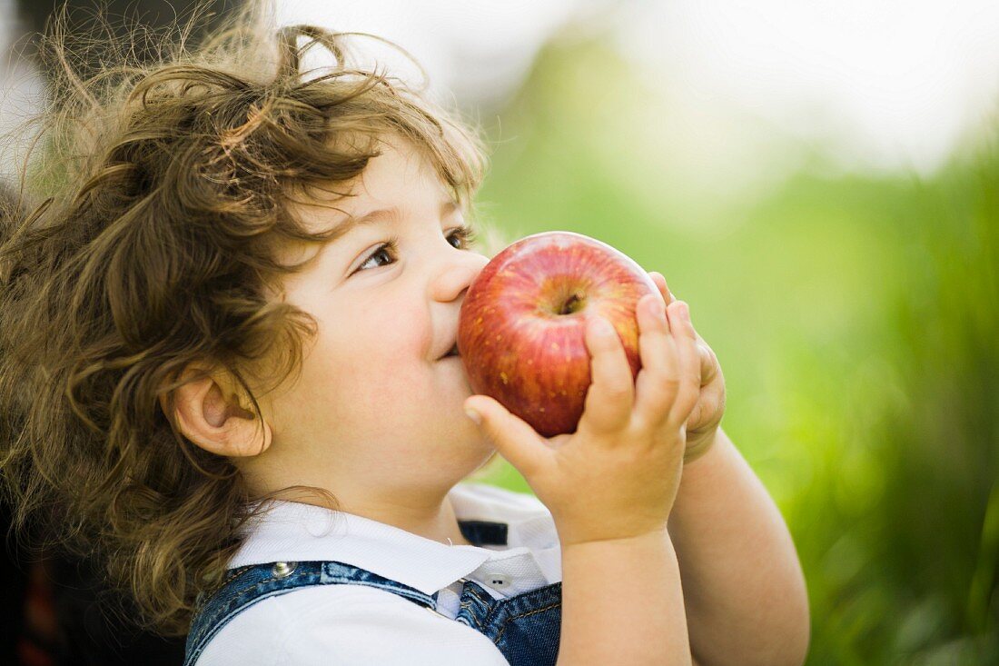 A small boy sniffing a large apple