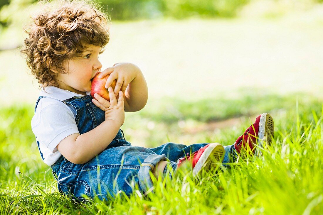 A small boy with a large apple