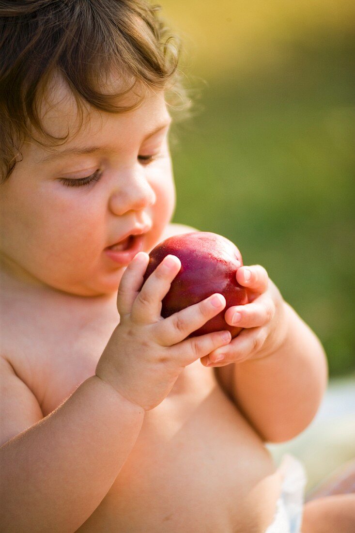 A small child trying out a peach