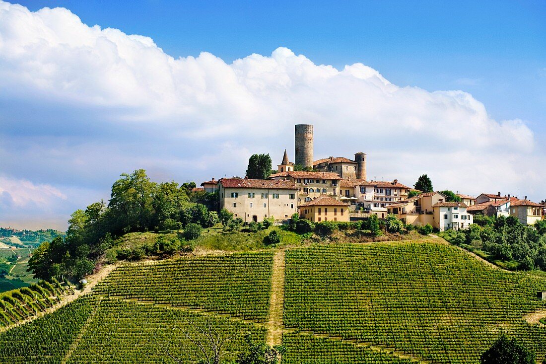Der Weinort Castiglione Falletto in Piemont, Italien
