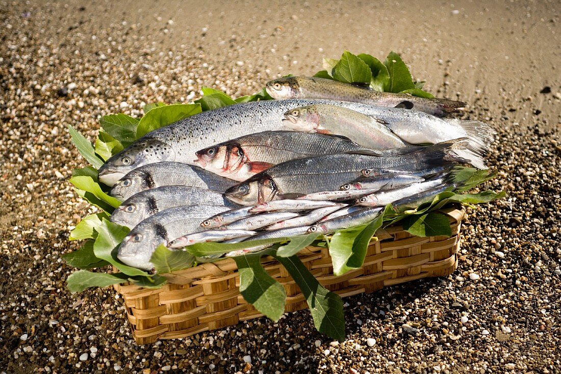 Fresh fish in a basket