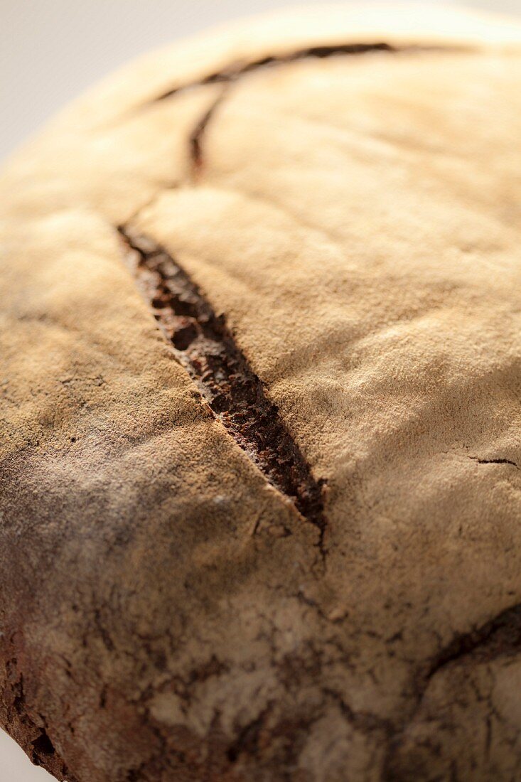 A loaf of bread (close-up)