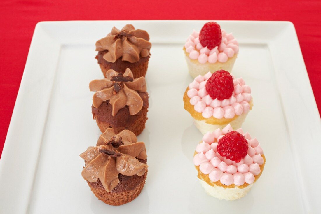 Chocolate caramel cupcakes and raspberry cupcakes