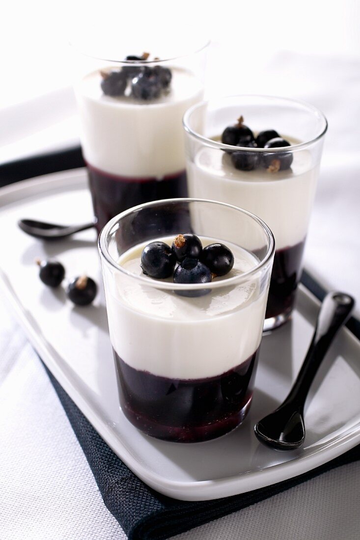 Panna Cotta mit Heidelbeeren und schwarzen Johannisbeeren