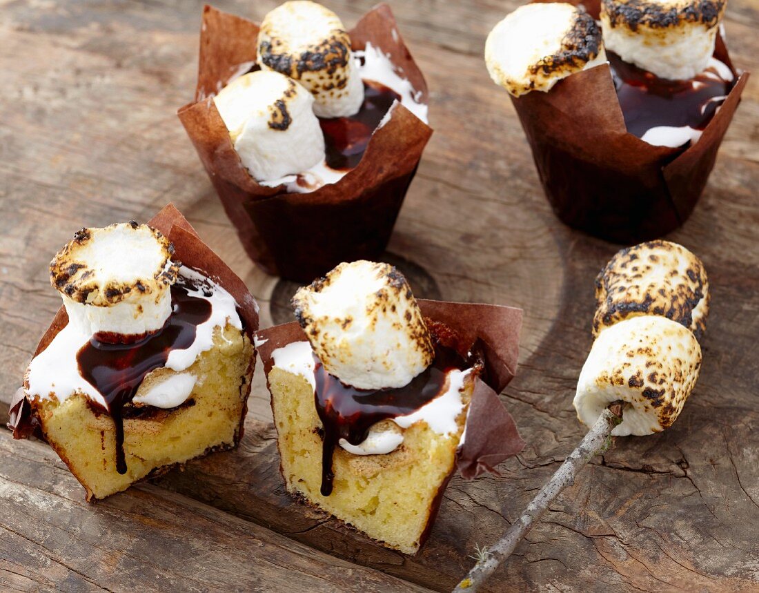 Smores-Cupcakes mit Schokolade & gegrillten Marshmallows