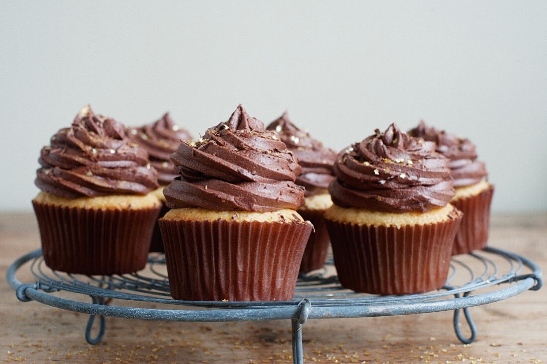 Cupcakes mit Schoko-Frosting