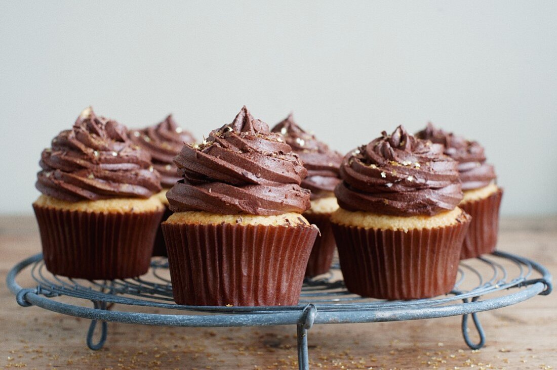 Cupcakes topped with chocolate icing