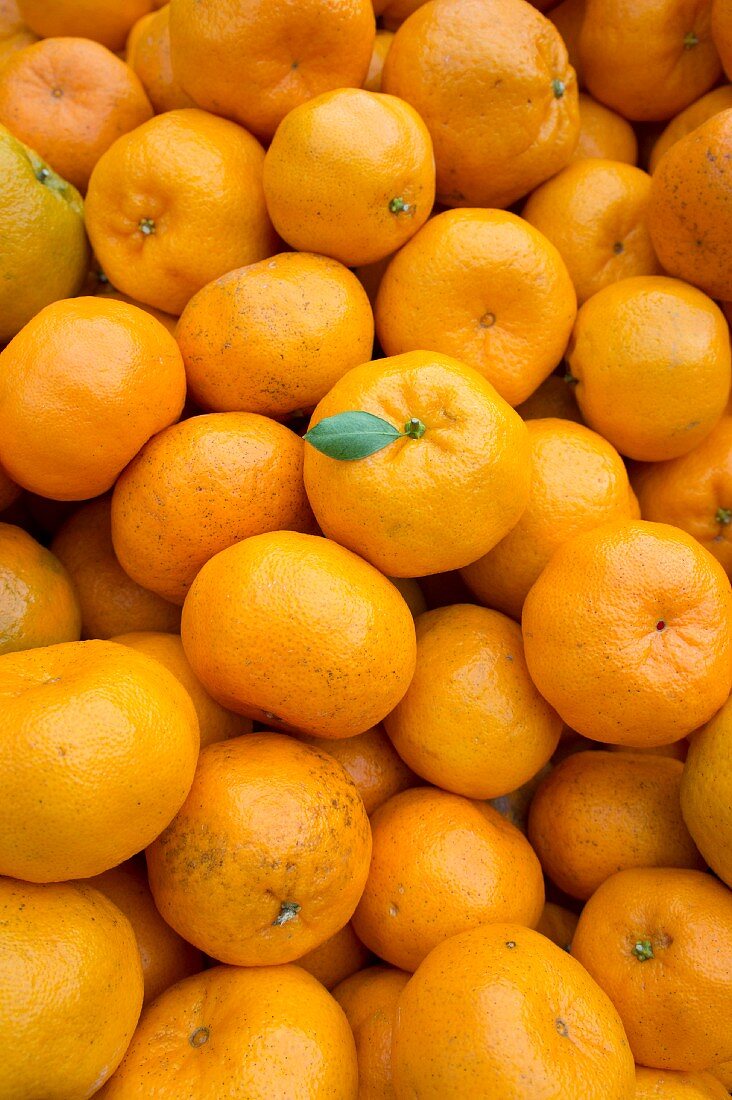 Lots of mandarins (filling the image)