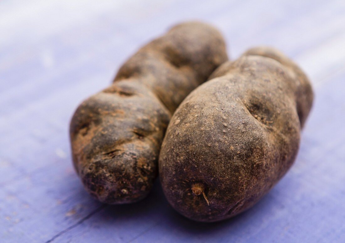 Two Vitelotte potatoes
