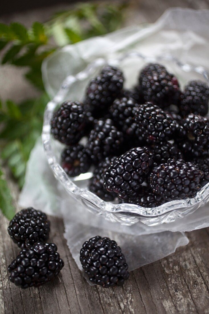 Frische Brombeeren in & neben Glasschälchen