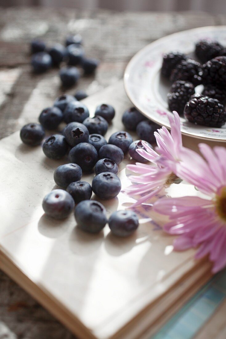 Sommerliches Stillleben mit Blaubeeren, Brombeeren & Blüten