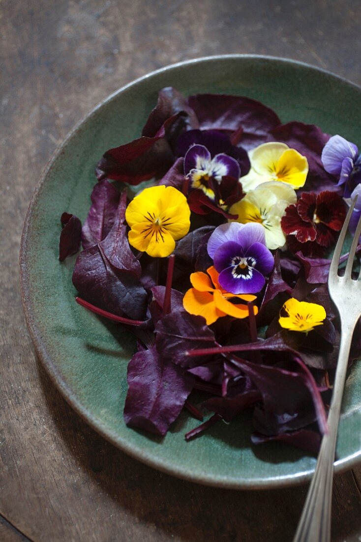 Red lettuce leaves with edible flowers