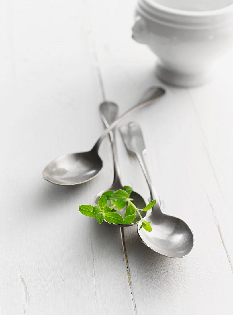 Oregano on a spoon