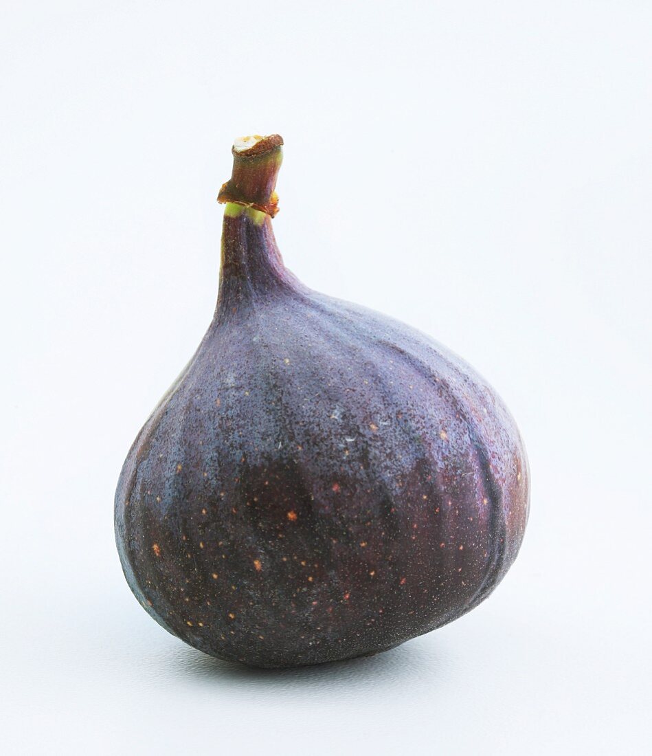 A red fig