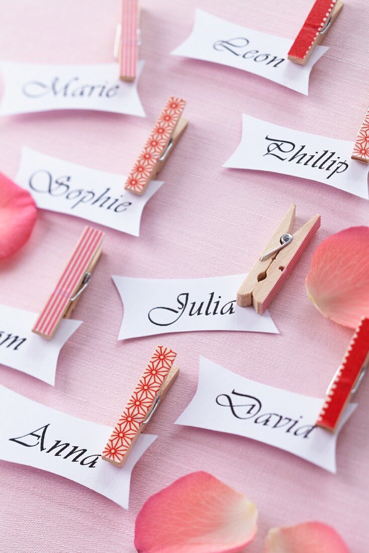 Place names for guests with decorated clothes pegs for attaching tags
