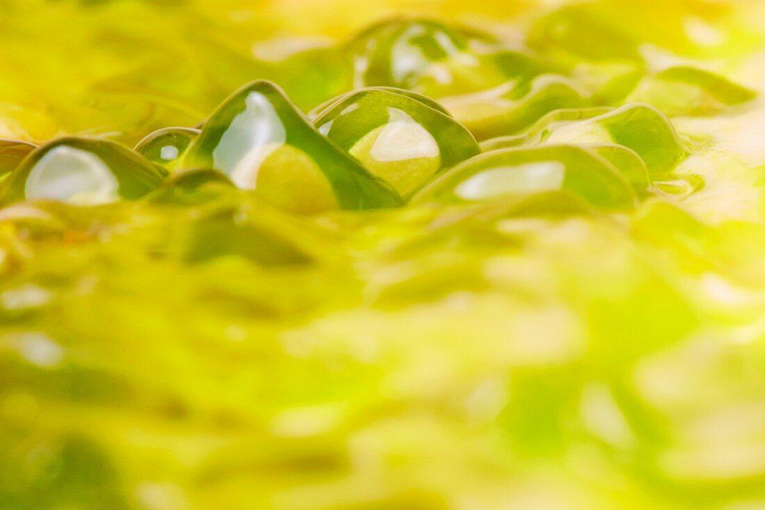 The exposed flesh of a ripe horned melon (cucumis metuliferus)