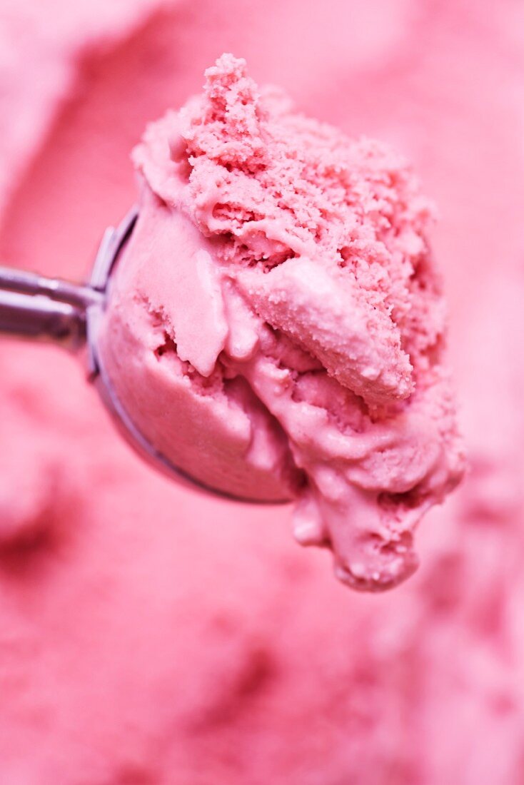 A scoop of home-made blackberry ice cream in an ice-cream scoop