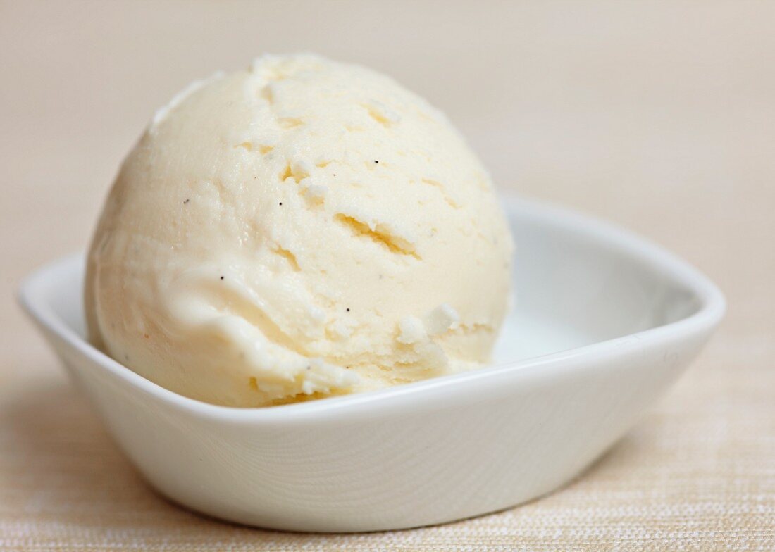 A scoop of home-made frozen yoghurt in a bowl