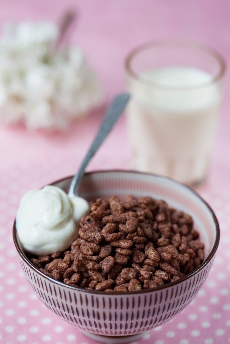 Chocolate crisped rice in a bowl with yoghurt
