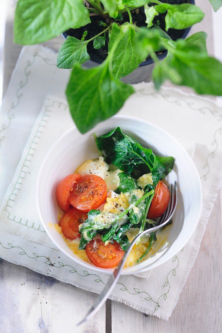 Good King Henry (Lincolnshire spinach) with ricotta and tomatoes