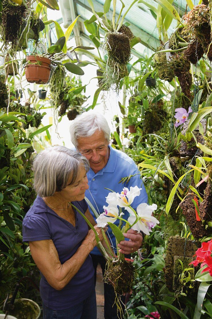 Older couple in orchid house